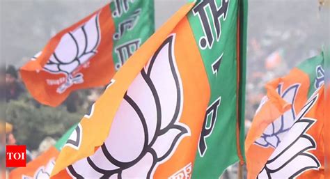 Bjp: Bjp Meet To Focus On 2023 Mp Polls | Bhopal News - Times of India