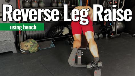 How To - Reverse Leg Raises (Using Bench) – Animalhouse Fitness