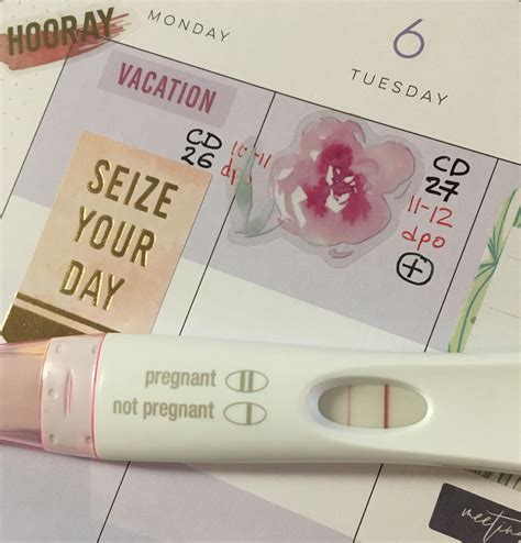 1279 best DPO FRER images on Pholder | 12 dpo - FRER, Premom + Easy @ Home. After 17 failed ...