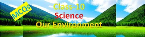Image result for Class 10 Environment Projects
