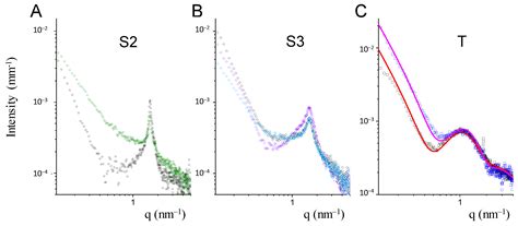 Hyaluronic Acid Derivative Effect on Niosomal Coating and Interaction ...
