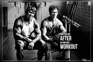 Arnold Schwarzenegger Matte Finish Poster bcC-118 Paper Print ...