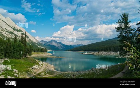 Image result for Diagonal Line Pattern