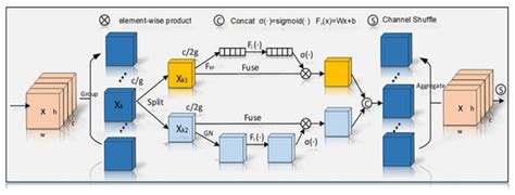 MYOLO: A Lightweight Fresh Shiitake Mushroom Detection Model Based on ...
