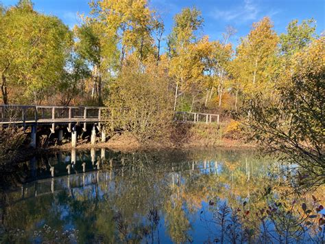 Escape To Nature's Embrace: Unwinding At Massachusetts' Alewife Brook ...