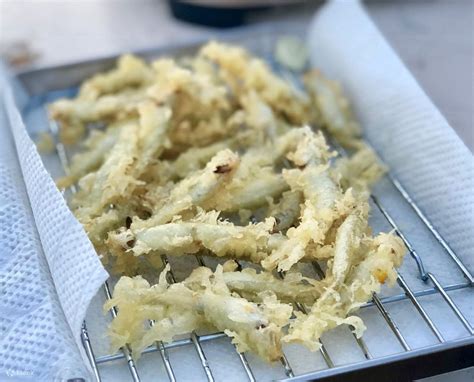 Sapporo Private Tour: Smelt Fishing and Hot Springs Experience with ...