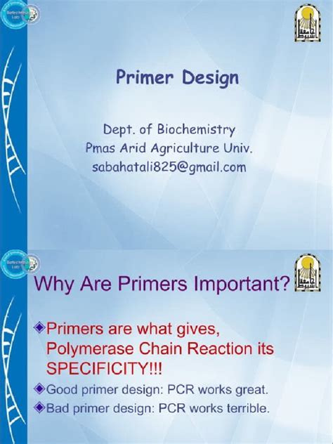 Primer Design Step by Step 的图像结果