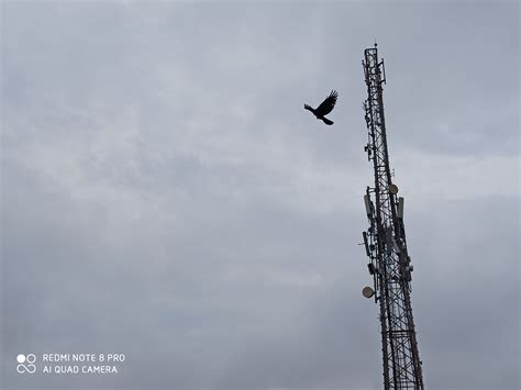 Redmi Note 8 Teste Camera 的图像结果