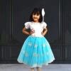 Frozen Elsa Gown - Girls Princess Birthday Party Dress