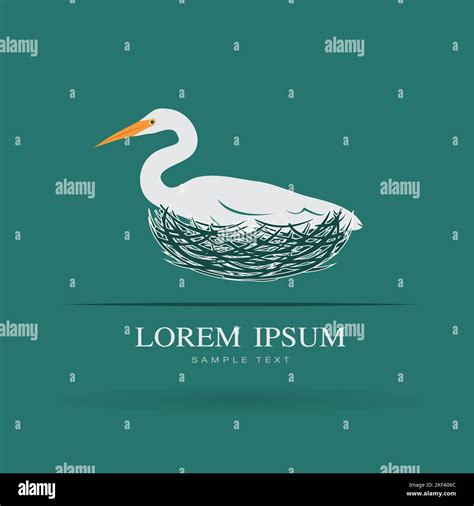 Vector of Egret bird is feeding its eggs in the nest on blue background ...