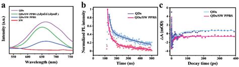Image result for Absorption vs Fluorescence Spectroscopy