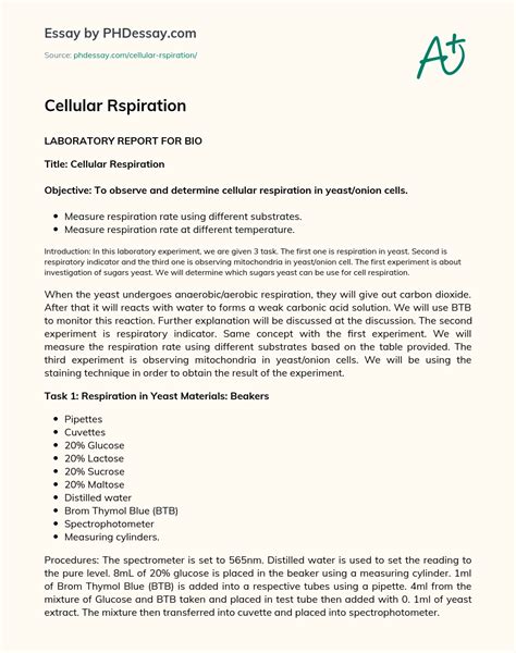 Image result for Cellular Rspiration Explained