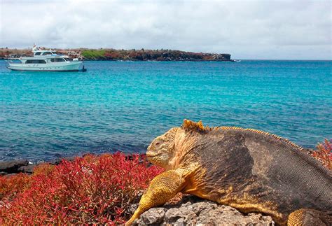 Nature Galapagos Tours at Carolann Ness blog