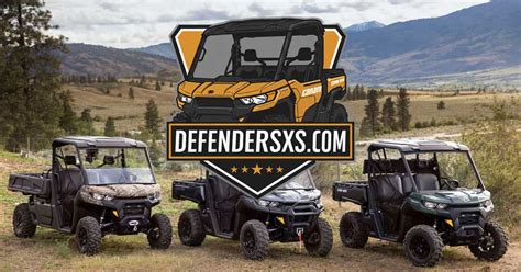 Defender Reviews Problems 的图像结果