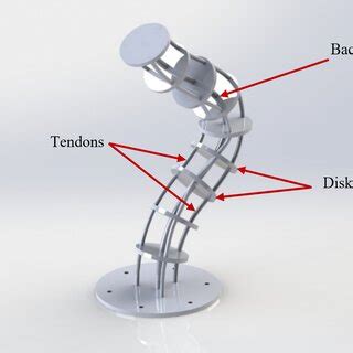 Robot Demi Continuous Work 的图像结果