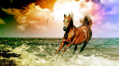 Arabian Horse Computer Wallpaper - WallpaperSafari