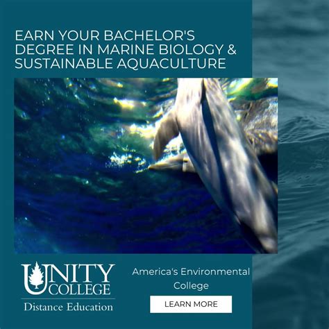 Best Marine Biology Degrees In The World at Audrey Bond blog