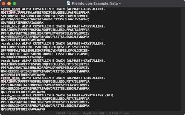 Fasta File 的图像结果