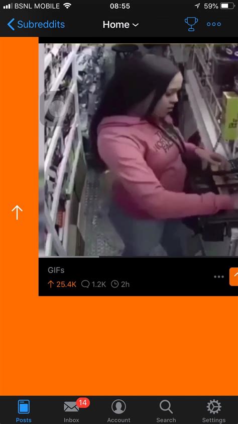 Image result for Apollo Bug