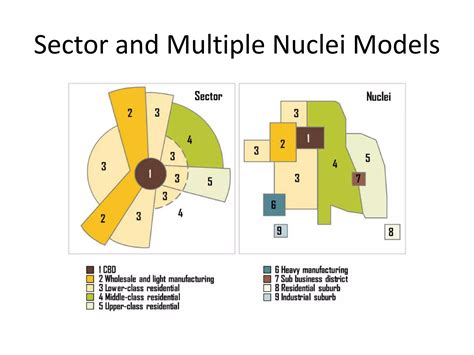 Sector and multiple nuclei model presentation | PPTX