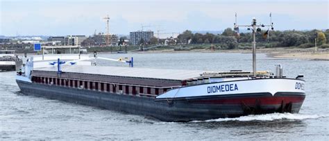 DIOMEDEA, Cargo ship - Details and current position - ENI 02324532 ...