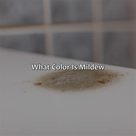 What Color Is Mildew - colorscombo.com