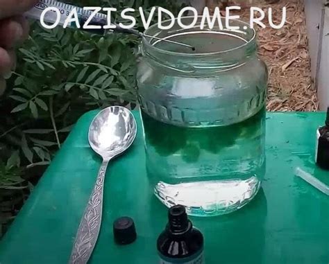 Зеленка для подкормки и обработки томатов, огурцов, лука и клубники