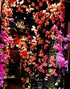Image result for Bunny Tea House in Tian Zi Fang