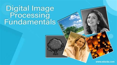 Image result for Digital Image Processing