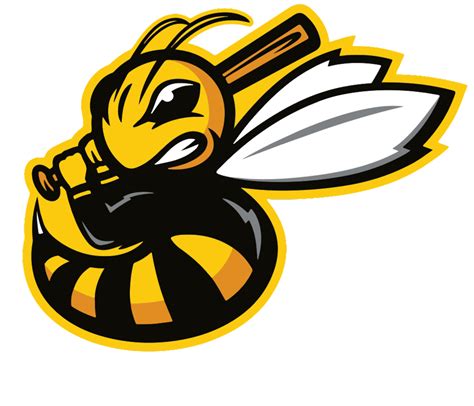 National Championship Sports | Baseball | South Bay Bees | 8U D3 KP