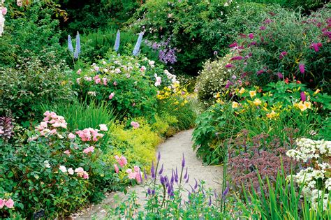 Shrubs For A Cottage Garden Border | Fasci Garden