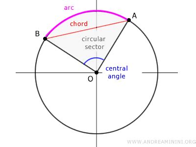 Image result for Circumference Explained