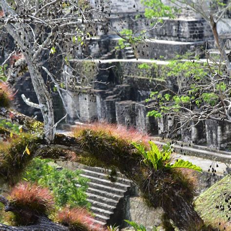 CENTRAL ACROPOLIS (2025) All You Need to Know BEFORE You Go (with ...