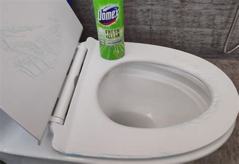 Hindustan Unilever — domex fresh n clean toilet cleaner