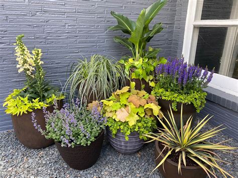 Potted Plants Patio Ideas at Jean Begaye blog