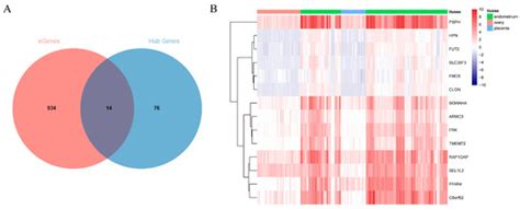 Identification of Candidate Genes and eQTLs Related to Porcine ...