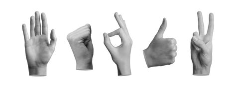 Image result for Hand Over Forearms Sign Language