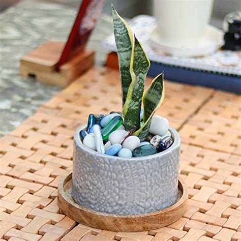 Lasaki Oxygen Small Ceramic Pots with Plate Wooden for Indoor, Outdoor ...