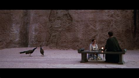 Image result for Essential Fellini Criterion