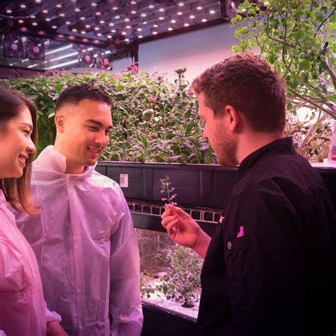 FARM.ONE (2025) All You Need to Know BEFORE You Go (with Photos ...