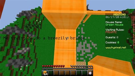 Image result for All Types of Minecraft Bridging Java