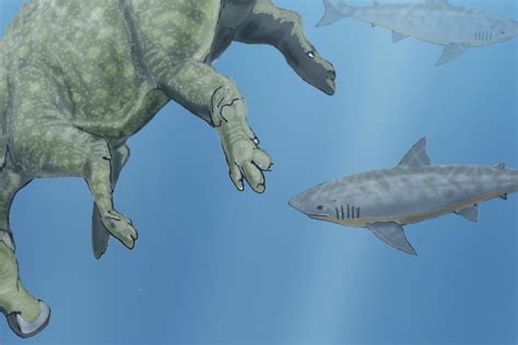 Prehistoric Sharks List