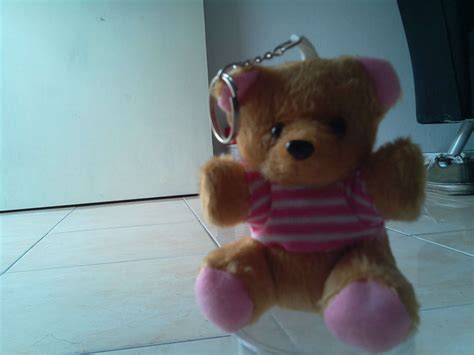 Image result for Raspberry Pi 4 Camera Install