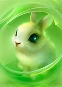 Image result for Rabbit and Bunny Pictures