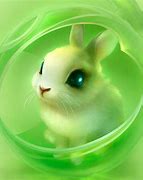 Image result for Bunny Rabbit Wallpaper