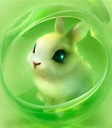 Image result for White Bunny Rabbit Cartoon