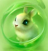 Image result for Rabbit Face Picture Cartoon Cute