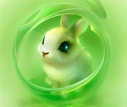 Image result for Cute Animated Bunny Boba