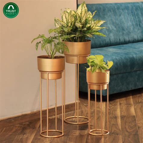 Gold Metal Planters - Pack of 3 – TrustBasket
