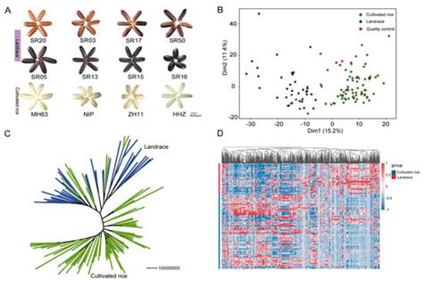 Integrated Metabolomics and Transcriptomics Analyses Reveal the ...